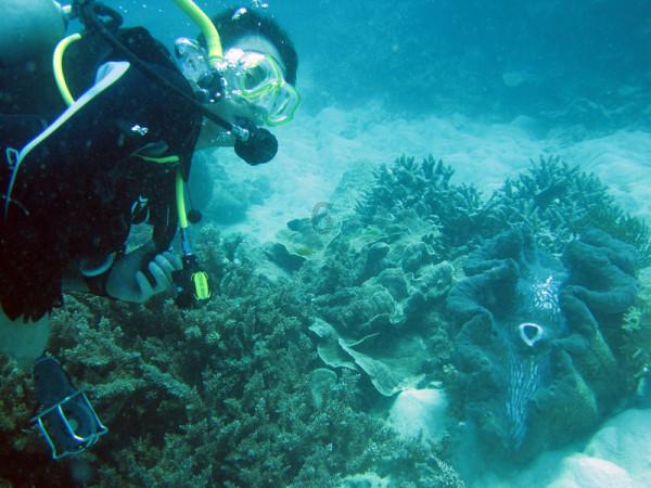 加密两地商业往来   呼和浩特开通直飞无锡航班