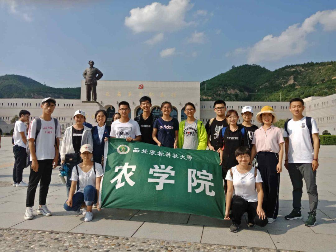 美丽的铅笔裙